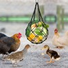 Chicken Veggies Skewer Vegetable Hanging Feeder Toy Chicken Fruit Feeder