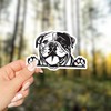 English Bulldog Peeking Vinyl Sticker - for Water Bottle Car