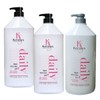 Amos Professional Silky Radiance Shampoo 500g / 아모스프로페셔널 실키 래디언스