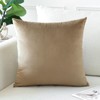 Artscope Luxury Velvet Cushion Covers Decorative Square Pillowcases Soft Solid