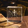 Real Bat Skeleton Specimen in Resin for Science Classroom Science