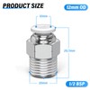 TAILONZ PNEUMATIC White Straight Male Thread 12mm OD x 1/2