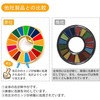 Light SDGs Badges (2-Piece Set) Genuine UN Cloisonne 1.0 inch