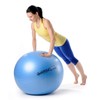 Maxafe Pezziball 42 to 75 cm with Ball Bowl and
