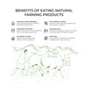 Stevia Powder | 100% Natural Zero Calorie Sweetener | Plant