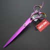 Juego de tijeras de corte de pelo profesional con estuche