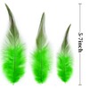 Holmgren Green Rooster Feathers Bulk - 200pcs 5-7inch Rooster Feathers