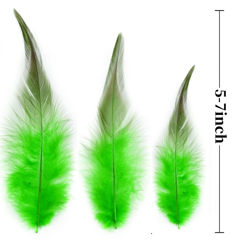 Holmgren Green Rooster Feathers Bulk - 200pcs 5-7inch Rooster Feathers