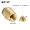 Aupoko A/C Retrofit Valve with Dust Cap, R12 R22 to