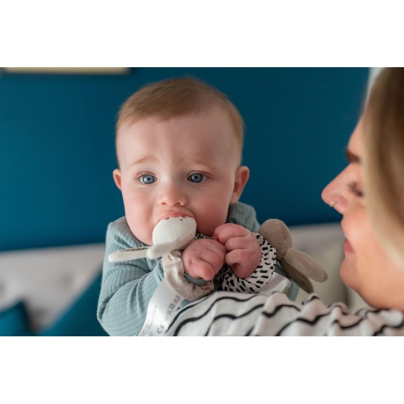 Ziggle - Wrist rattles