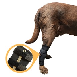 Labra Supportive Dog Rear Leg Hock Joint Wrap Brace with Metal Springs Protects Canine Wounds as They Heal Compression Brace Heals and Prevents Injuries and Sprains Helps Arthritis (Small)