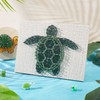 WEBEEDY String Art Kit for Beginners Adults DIY Sea Turtle