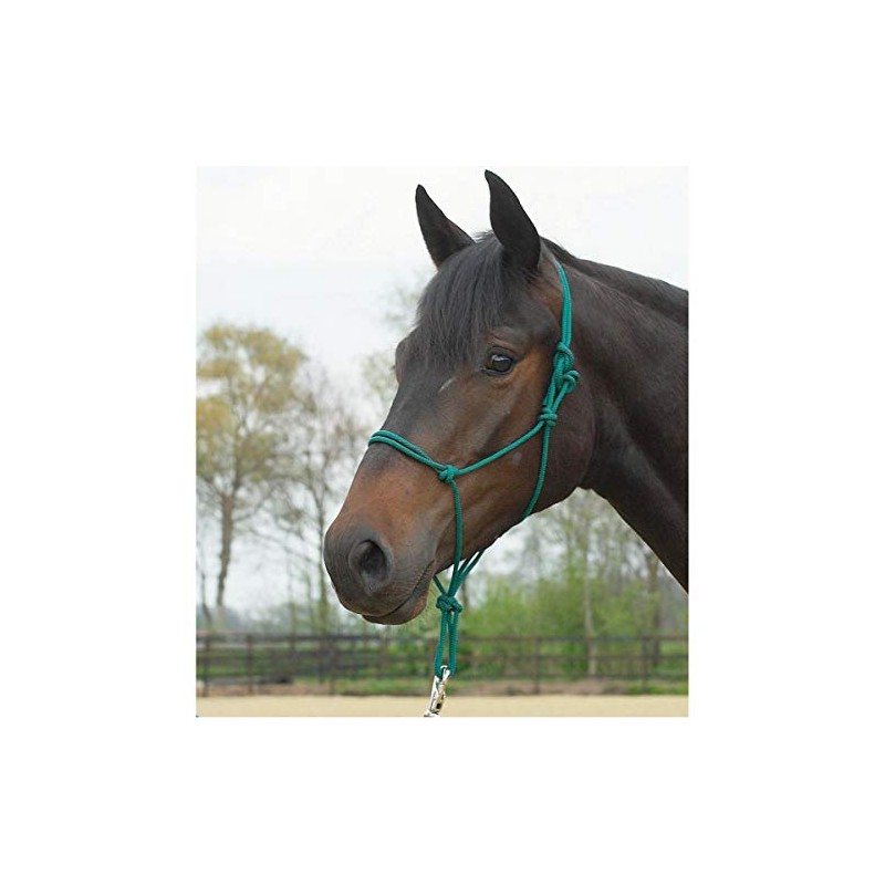 Busse Knotenhalfter Standard, Tanne, Pony/Vollblut