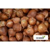 Mixed Color Tulip Bulbs for Planting - Ships from Iowa,