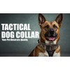 Tactical Dog Collar with Handle, Military Dog Collar, Heavy Duty