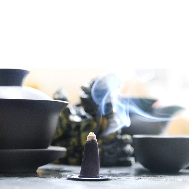 Incense Cones Gift Pack Set Sticks Total,Red Rose,Super Sandal,Patchouli,White Musk,Meditation,Lavender