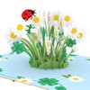 papercrush® Pop-Up Card Ladybird & Daisies - 3D Congratulations Card (Birthday Card, Good Luck & Success, Card for Exam, Get Soon, Recovery, Thank You, Farewell Colleague)