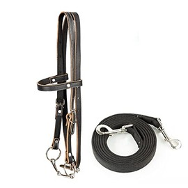 Y.J TAILS Leather Horse Bridle, Adjustable Western Browband Bridles for Horses with Bits and Detachable Reins (S ( Below 1.2 Meters), Black)