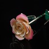 Long Stem Dipped 24k Gold Rose in Gift Box with