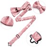 DiBanGu Silk Pink Mens Bow Tie Paisley Pretied Bow Tie