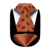HISDERN Orange Ties for Men Woven Classic Silk Mens Tie