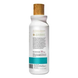 RS Shampoo Coconut Agave 18oz