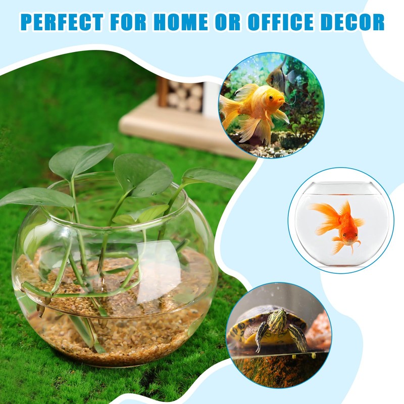 24 Pcs Fish Bowl Vase Glass Bubble Bowl Globe Glass