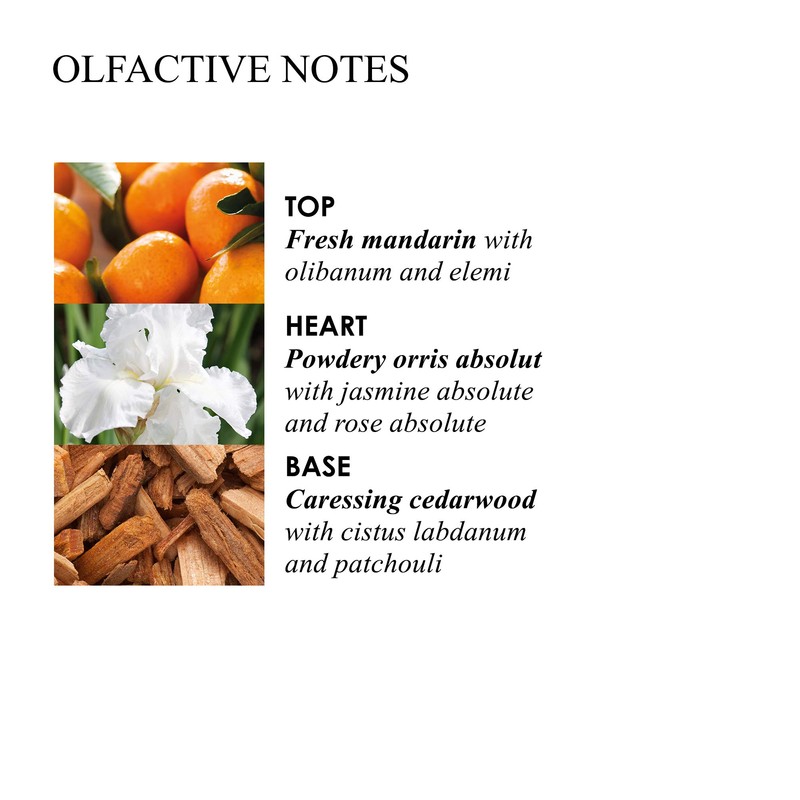 Molton Brown Suede Orris Bath & Shower Gel, 300 ml