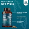 NutraCreek Sea Moss | Irish Sea Moss Capsules with Bladderwrack,