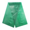 Thera-Band Original Exercise Resistance Band Choice of Tension and Colours