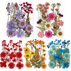 Flores Prensadas Secas para Resina - 5 Colores Vibrantes- Ideal para Arte de Uñas, Decoración con Epoxi y Joyería DIY - Incluye 5 Bolsas de Flores Naturales Aplastadas para Manualidades