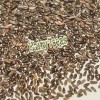 Fairy7Seas Lemon Balm Seeds - Melissa officinalis - Honey Plant