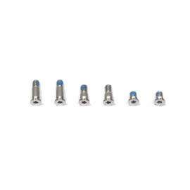 ICTION New A2289 Bottom Case Screws for MacBook Pro 13" A2289 Bottom case Screws 2020 (Silver)
