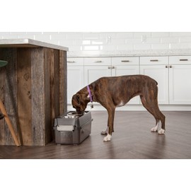 Medium Elevated Feeder with Airtight Storage, Black