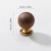 AENZOOY 10 Pack Walnut Wood Sphere 1.18 Inch (30mm) Copper
