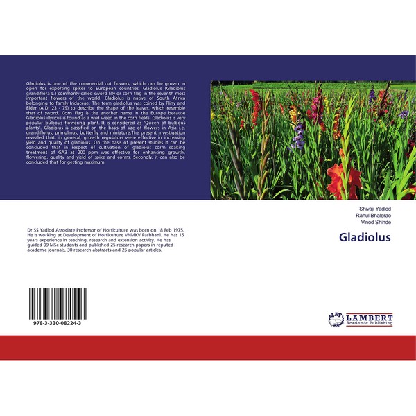Gladiolus