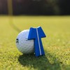 Align Golf Ball Marker | Improves Putting Accuracy and Alignment