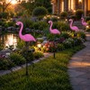 Peacock Solar Garden Light for Outdoor Decor – IP65 LED