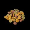 Bugs Dog Vegan Formula 1.2kg + Samples (30g x 2ea)