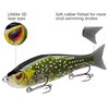 BASSDASH SwimShad Glide Baits Jointed Swimbait Bass Pike Salmon Trout