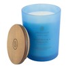 Chesapeake Bay Candle Scented Candle, Confidence + Freedom (Oak Moss