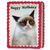 Grumpy Cat Edible Cake Image Topper 1/4 Sheet Decoration Birthday