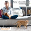 Scratch Protection Sofa Cat - Pack of 12 Cat Scratch