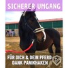 Lead Rope with Panic Hook | for Horses, Ponies, Shetty,