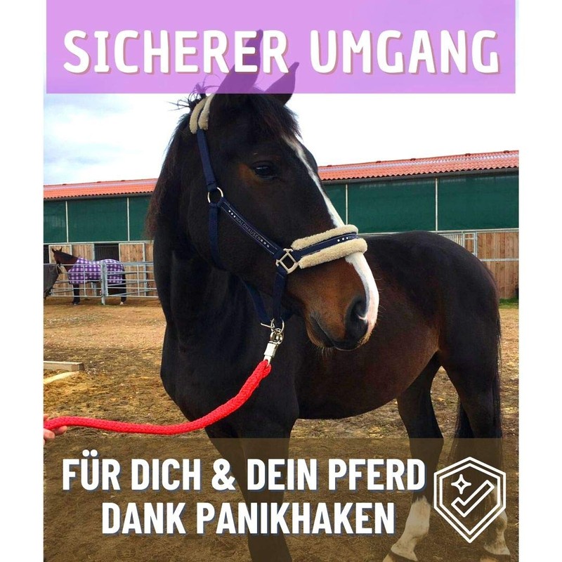 Lead Rope with Panic Hook | for Horses, Ponies, Shetty,