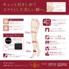 Atsugi FP11113P Women's Stockings, 3 Pairs, nude beige