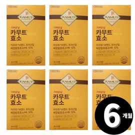 Living Factory H Partner Kamut brand wheat enzyme total 6 months supply / 카무트 브랜드밀 효소 총 6개월분