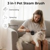 Cepillo De Vapor Autolimpiante Para Gatos Con 2 Modos