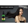 Locin estimulante para cabello, barba y cejas, enriquecida con biotina,