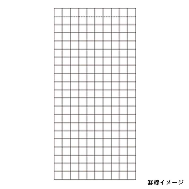 Maruman MNEMOSYNE Memopad 3.66 x 1.97 Inches (Modified A8), 5mm-squared,